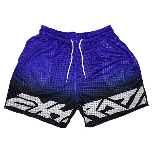 YZF Mesh Shorts